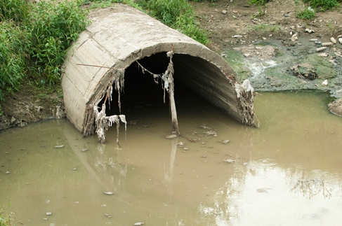 다뚜러김반장 PC 이미지 5673442